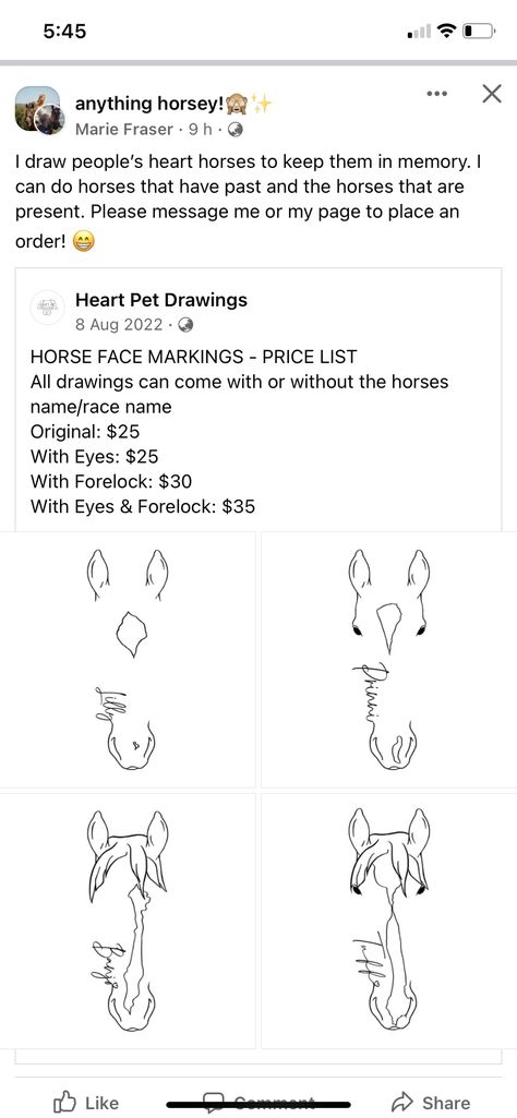 Horse Silouhette Tattoo, Small Horse Tattoos With Meaning, Horse Tattoo With Name, Ottb Horse Tattoo, Horse Blaze Tattoo, Small Horse Memorial Tattoo, Horse Ear Tattoo, Draft Horse Tattoo, Horse Face Tattoo Outline