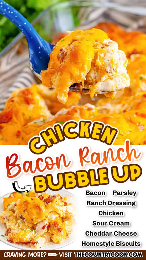 This insanely easy and scrumptious Chicken Bacon Ranch Bubble Up is a filling dinner recipe made with just 6 ingredients and ready to eat in only 40 minutes! Bubble Up Bakes Dinners, Bubble Up Dinner Recipes, Chicken Bacon Ranch Biscuit Bake, Chicken Bacon Ranch Bubble Up Bake, Chicken Game Day Food, Bubble Up Chicken Casserole, Chicken Bubble Bake, Texas Trash Chicken Recipe, Supper Ideas With Biscuits