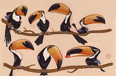 Toucan Illustration Toucan Character Design, Toucan Cartoon, Toucan Drawing, Toucan Illustration, Toucan Art, Animal Caricature, Wildlife Artwork, Cartoon Birds, Animated Drawings