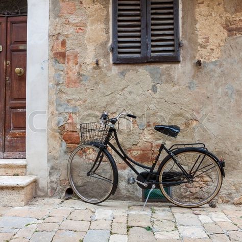 Giant Bicycle, Bicycle Pictures, Giant Bikes, Stylish Bike, Bicycle Store, Old Bicycle, Study Photography, Wood Wallpaper, Bike Style