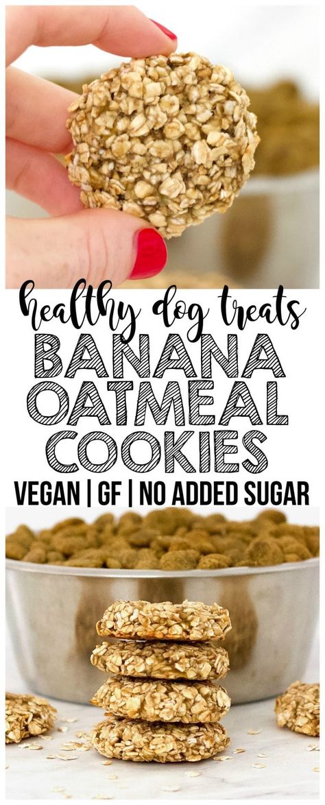 Cookies Banana Oatmeal, Low Fat Dog Treats, Cookies For Dogs, Cookies Banana, Vegan Dog Treats, Dog Cookie Recipes, Homemade Dog Cookies, Dog Biscuit Recipes, Healthy Dog Treats Homemade