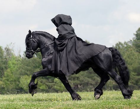 Friesian horse I need one in my life as well as that cloak..! Horse Costumes, Black Horses, Friesian Horse, Draft Horses, Black Horse, Pretty Horses, Horse Photography, Horse Pictures, 영감을 주는 캐릭터