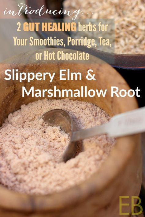 Eat Beautiful, Slippery Elm, Marshmallow Root, Herbal Healing, Herbs For Health, Gut Healing, Healing Food, Natural Health Remedies, Healing Herbs