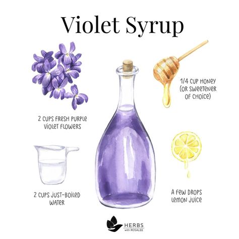 Magic Potion Recipe, Herbal Potions, Apothecary Recipes, Diy Syrup, Violet Syrup, Cottagecore Recipes, Lemon Juice Water, Tea Blends Recipes, Kitchen Witch Recipes