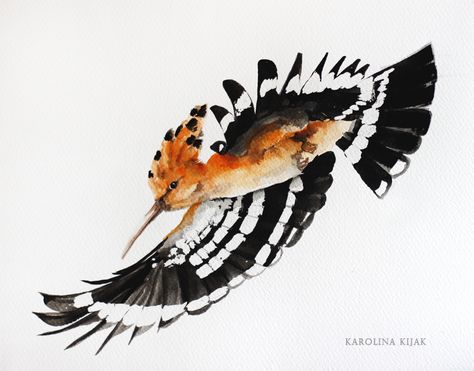 hoopoe  by Kakiaart Hoopoe Bird Tattoo, Hoopoe Bird Drawing, Hoopoe Tattoo, Hoopoe Bird, Design Art Drawing, Bird Drawings, Japan Art, Watercolor Bird, About Art