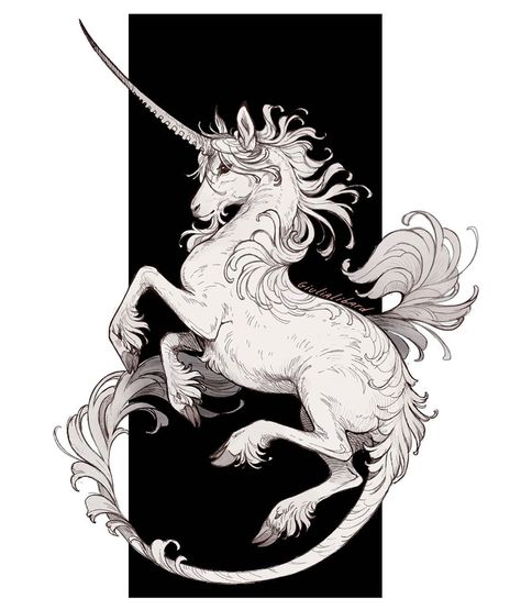 @giulialibard on Instagram: “Medieval unicorn 🦄 This one is available on my redbubble store if anyone is interested! (link in bio) . Also I'm planning on opening…” Medieval Unicorn, Evil Unicorn, Unicorn Day, Unicorn Artwork, Unicorn Tattoos, Unicorn Drawing, Last Unicorn, Unicorn Illustration, The Last Unicorn