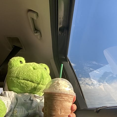 build a bear frog Build A Bear Frog Aesthetic, Aesthetic Build A Bear Frog, Cute Frog Stuffed Animal, Frog Plushie Build A Bear, Frog Teddy Aesthetic, Bab Frogs, Bear Aesthetic, Frog Plushie, Build A Bear Outfits