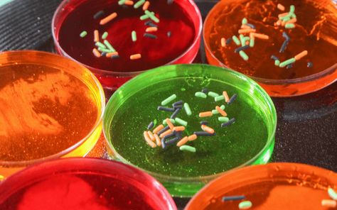 Super Creepy and Fun Petri Dish Jell-O Science Themed Party, After School Snack, Science Party, Mad Science, School Treats, School Snack, Petri Dish, Jell O, Science Themes