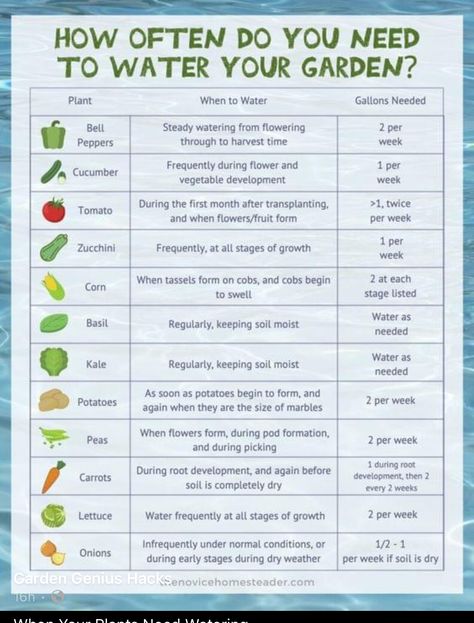 Small Vegetable Gardens, Gardening Projects, Vegetable Garden Planning, Vegetable Garden Diy, Growing Plants Indoors, Veg Garden, Home Vegetable Garden, Container Gardening Vegetables, Vegetable Garden Design