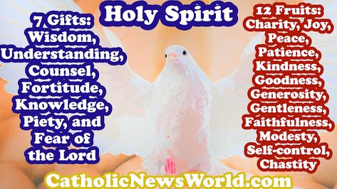 Catholic News World - HOME  : What are the 7 Gifts of the Holy Spirit and the 12... Fruits Of The Holy Spirit, Gifts Of The Holy Spirit, Catholic Sacraments, Pentecost Sunday, Church Catholic, Lion Of Judah Jesus, Spirit Gifts, Faith Formation, Holy Father