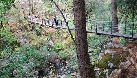 Nevada City California, California Fall, Forest Camp, California Hikes, Deer Creek, Adventure Travel Explore, Ground Zero, Historic Architecture, Nevada City