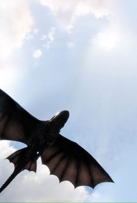 Toothless flying solo Toothless Aesthetic, Toothless Wings, Toothless Flying, Httyd Tattoo, Httyd Aesthetic, Httyd Wallpaper, Toothless Wallpaper, Falling Backwards, Dragon Soul