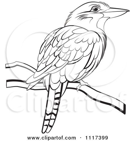 Animal Line Drawings, Wood Carving For Beginners, Animal Templates, Bird Applique, Royalty Free Clipart, Clip Art Pictures, Free Vector Illustration, Bird Artwork, Australian Animals