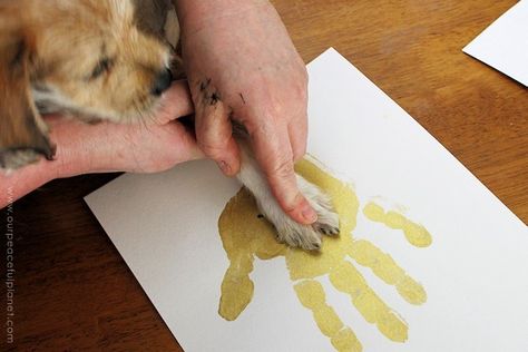 Family Hand And Paw Prints, Diy Dog Momentos, Puppy Paw Print Art Diy, Dog Paw And Human Hand Print Painting, Diy Dog Paw Print Paint, Puppy Paw Print Art Cute Ideas, Dog Paw Print Canvas Diy, Paintings To Do With Your Dog, Dog Nose Print Art Diy