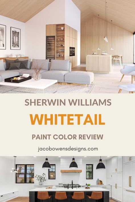 Whitetail Paint Sherwin Williams, White Tail Sherwin Williams, Sherwin Williams Whitetail Walls, Sherwin Williams White Tail, Whitetail Sherwin Williams, White Tail Paint Color, Sherwin Williams White Tail Paint, Sherwin Williams Individual White, Aestethic White Sherwin Williams