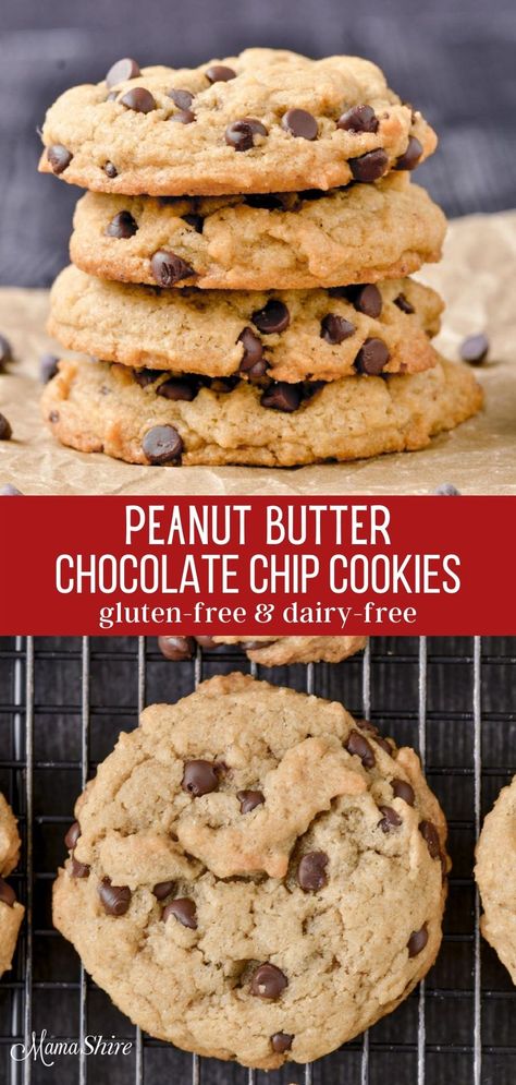 Enjoy the perfect combination of peanut butter and chocolate with these scrumptious gluten-free peanut butter chocolate chip cookies. When it comes to cookies everyone has their favorites and this recipe combines two of the topmost favorites. #glutenfreerecipes #glutenfreecookies #celiac Dairy Gluten Free Peanut Butter Cookies, Homemade Gluten Free Chocolate Chip Cookies, Gluten And Dairy Free Peanut Butter Chocolate Chip Cookies, Paleo Peanut Butter Chocolate Chip Cookies, Gf Peanut Butter Chocolate Chip Cookies, Peanut Butter Chocolate Chip Cookies Gluten Free, Gluten Free Chocolate Peanut Butter Cookies, Gluten Free Peanut Butter Chocolate Chip, Gluten Free Peanut Butter Recipes