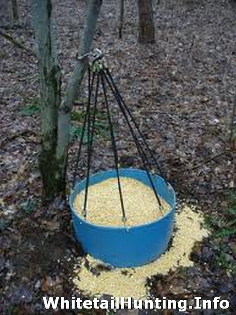 Trap. Shed Hunting, Antler Hunting, Deer Antler Crafts, Deer Feeders, Hunting Stands, Whitetail Hunting, Whitetail Deer Hunting, Moose Hunting, Deer Blind