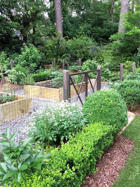 Vegetable garden with raised beds, fencing & boxwoods at gate - via Design Indulgence Bed Layout, Kitchen Gardens, Hedging Plants, Potager Garden, Veggie Patch, Veg Garden, Garden Area, Metal Fence, Vegetable Gardens