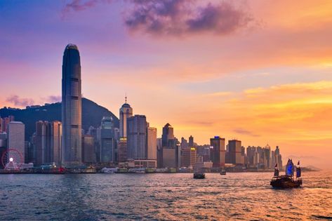 Hong Kong Skyline, Junk Boat, Bay Boats, Victoria Harbour, Best Cryptocurrency, Ferry Boat, Cryptocurrency News, Boat Building, Ecosystem