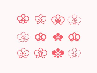 Orchid flower - icons Orchid Illustration Design, Orhidee Flowers Tattoo, Orchid Flower Illustration, Orchid Logo Design Ideas, Orchid Flower Logo, Orchid Graphic Design, Orchid Branding, Orchid Logo Design, Orchid Symbol