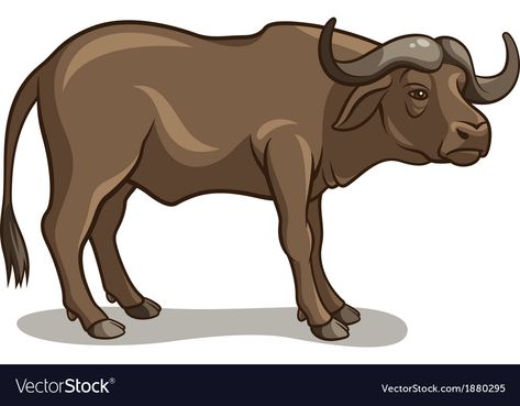 Buffalo Vector, Buffalo Clipart, Buffalo Illustration, Buffalo Cartoon, Arti Thali, Powerpoint Background, Powerpoint Background Design, Cartoon Gifs, Transparent Png