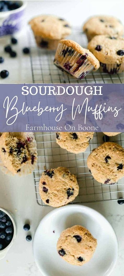 Sourdough Breakfast Muffins, Blueberry Discard Muffins, Sourdough Starter Muffins, Sourdough Blueberry Bread, Sourdough Blueberry, Sourdough Muffins Healthy, Blueberry Sourdough Bread, Healthy Sourdough Muffins, Quick Sourdough Discard Recipes Muffins