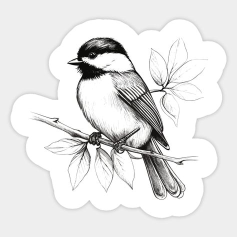 Discover the charm of nature with our Chickadee bird design. This delightful artwork showcases the adorable Chickadee. -- Choose from our vast selection of stickers to match with your favorite design to make the perfect customized sticker/decal. Perfect to put on water bottles, laptops, hard hats, and car windows. Everything from favorite TV show stickers to funny stickers. For men, women, boys, and girls. Black Capped Chickadee Tattoo, Chickadee Drawing, Finch Tattoo, Chickadee Tattoo, Simple Bird Drawing, Micro Realism, Wildlife Tattoo, Bird Tattoos For Women, Hawk Tattoo