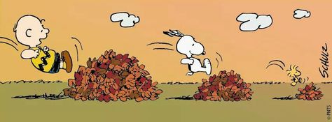 Fall is here.... Changing App Icons, Fall Facebook Cover, Fall App Icons, Seasonal Color Palette, Charlie Brown Thanksgiving, Home Screen Aesthetic, October Wallpaper, Snoopy Cartoon, Screen Aesthetic