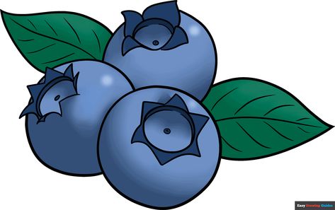 Learn to draw a Blueberry. This step-by-step tutorial makes it easy. Kids and beginners alike can now draw a great Blueberry. Blueberry Drawing Simple, Cute Blueberry Drawing, Blueberries Drawing, Blueberry Cartoon, Blueberry Drawing, Blueberry Images, Pie Drawing, Flower Stencil Patterns, Embroidery Table