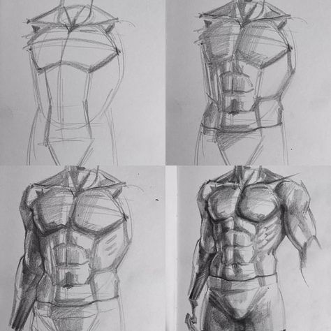 Male Torso Reference, Torso Reference, Torso Drawing, Reference Male, Orca Tattoo, Personaje Fantasy, Desen Realist, Výtvarné Reference, Male Torso