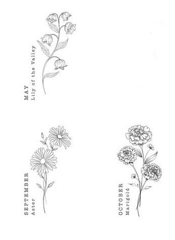 Aster And Cosmos Tattoo, Marigold Tattoo Behind Ear, Marigold And Aster Tattoo, Fineline Cosmos Flower Tattoo, Aster And Marigold Flower Tattoo, Fine Line Marigold Tattoo, Morning Glory And Aster Tattoo, Aster And Morning Glory Flower Tattoo, Marigold And Cosmos Flower Tattoo