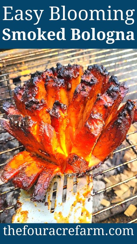 Smoked Bologna, Bologna Recipes, Bbq Smoker Recipes, Easy Chicken Enchilada Recipe, Smoker Cooking, Pellet Grill Recipes, Traeger Recipes, Smoked Meat Recipes, Quick And Easy Appetizers