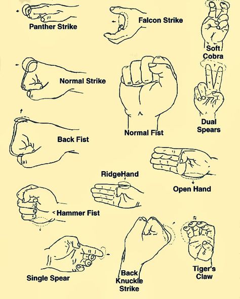 Martial Arts Techniques Pressure Points, Different Types Of Kicks, How To Learn Martial Arts At Home, Wing Chun Martial Arts, Mixed Martial Arts Training, Boxing Training Workout, Boxing Techniques, Martial Arts Sparring, Karate Training