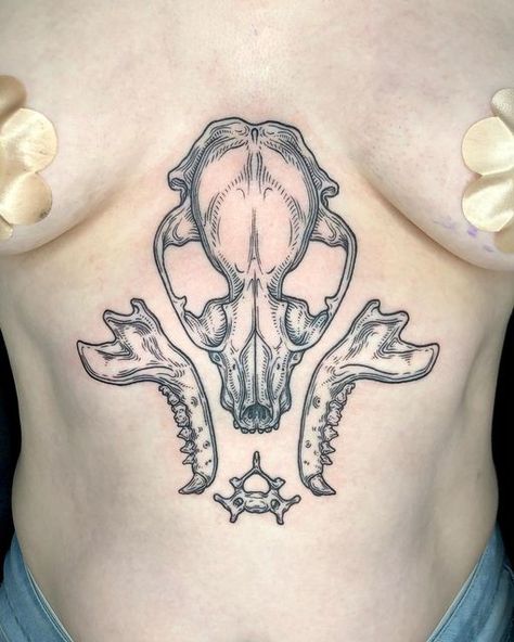 Katy Wiedemann on Instagram: "Raccoon bones from my flash! Thanks for getting this one and for sitting so well! . . . . . #raccoontattoo #skulltattoo #sternumtattoo #odditytattoo #anatomytattoo #naturetattoo #femaletattooer #femaletattooartist #ladytattooer #ladytattooers #phillytattoo #phillytattooartist #wilmingtontattoo #tttism #blkttt #blackworker #blackworkerssubmission #blackworktattoo #scientificillustration #onlythedarkest #occultarcana #darkartists #thedarkestwork #anatomicaltattoo #me Bone Knee Tattoo, Anatomical Bone Tattoo, Raccoon Skull Art, Cat Jaw Bone Tattoo, Skeletal Animal Tattoos, Dog Jaw Bone Tattoo, Wet Specimen Tattoo, Animal Jaw Tattoo, Raccoon Skull Tattoo