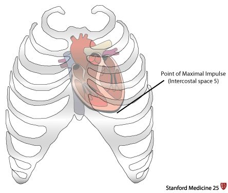 pmi medical - Google Search Apical Pulse, Nursing Math, Cardiac Cycle, Enlarged Heart, Pleural Effusion, Mitral Valve, Heart Sounds, Nursing Student, Cardiology