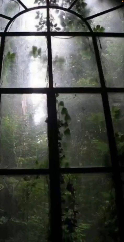 Rainy Day Window, Aesthetic Greenhouse, Greenhouse Window, Fairy Grunge Aesthetic, Dark Naturalism, Dark Fairycore, Dark Nature, Dark Green Aesthetic, Dark Nature Aesthetic