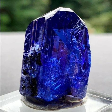 Arte Glitter, Tanzanite Crystal, Minerals Crystals Rocks, Blue Rock, Rock Minerals, Fine Minerals, Pretty Rocks, Crystal Magic, Blue Tanzanite