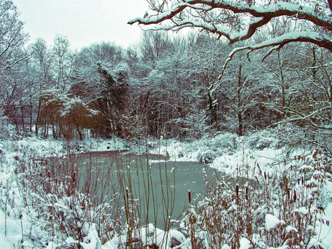 Frozen Pond Aesthetic, Setting Aesthetic, Sketchbook Practice, Amy March, Visual Book, Brush Codes, Ice Lake, Frozen Pond, Game Studio