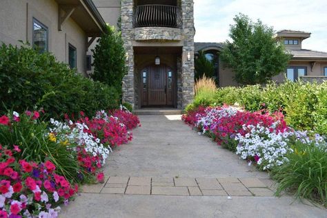 Annual Flower Beds Design, Annual Flower Beds, Flower Bed Decor, Colorful Flower Beds, Flower Bed Designs, Short Plants, Annual Flowers, Plant Health, Beautiful Flower Arrangements