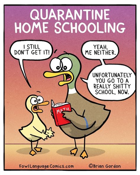 Home Schooling - Fowl Language Comics Brian Gordon, Fowl Language Comics, Fowl Language, Parenting Comics, Need A Laugh, Funny Comic, Homeschool Kids, Home Schooling, Miss U