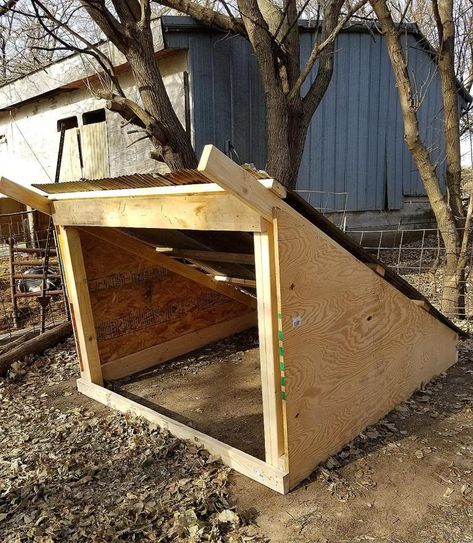 Sheep Shelter, Pig Shelter, Outdoor Cat Shelter, Livestock Shelter, Goat Shelter, Goat Pen, Raising Pigs, Shelter In Place, Pen Ideas