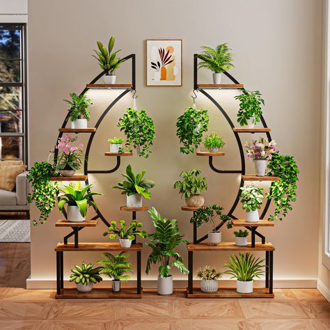 Wall hanging plants indoor