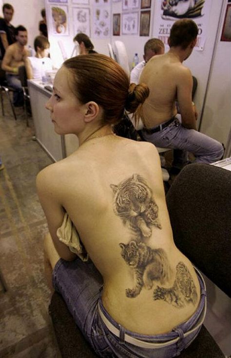 Three tiger tattoos on womans back Handsome Female, Tattoo Website, Woman's Back, Tattoo Machine Kits, Tiger Tattoo Design, Tattoo Signs, Tattoo Equipment, Back Tattoo Women, Tiger Tattoo