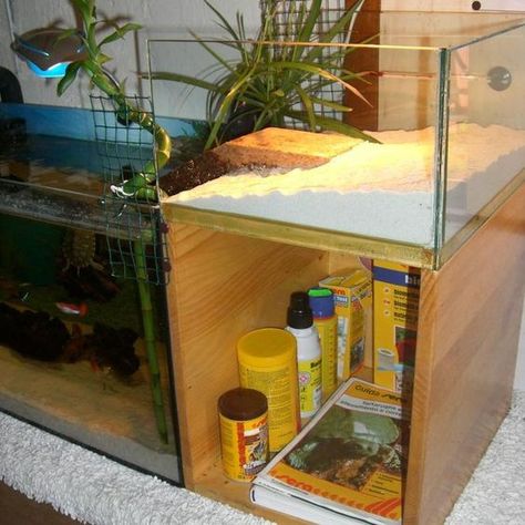 Turtle Basking Area, Tartaruga Habitat, Turtle Tank Ideas, Aquatic Turtle Habitat, Aquatic Turtle Tank, Turtle Tank Setup, Diy Turtle, Turtle Enclosure, Turtle Basking Platform