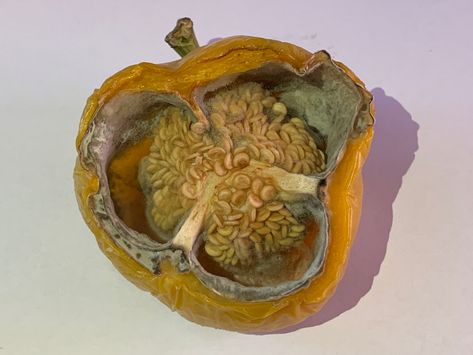 Mouldy Fruit, Mold Photography, Decaying Fruit, Jane Prentiss, Moldy Food, Rotten Food, Decay Art, Advanced Higher Art, Rotten Fruit