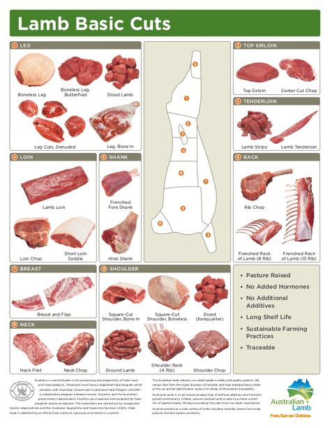 Meat Cuts Chart, Beef Cuts Chart, Lamb Cuts, Lamb Loin, Loin Chops, Beef Tips, Ground Lamb, Beef Cuts, Lamb Recipes