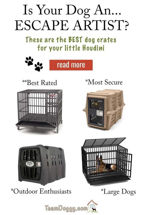 best escape proof dog crates for anxious dogs that don't want to stay in their kennel Activities For Dogs On Crate Rest, Escape Proof Dog Kennel, How To Crate Train An Older Dog, Diy Heavy Duty Dog Crate, Impact Dog Crate, Chicken Boy, Wire Crate, Calm Dogs, Dog Cages