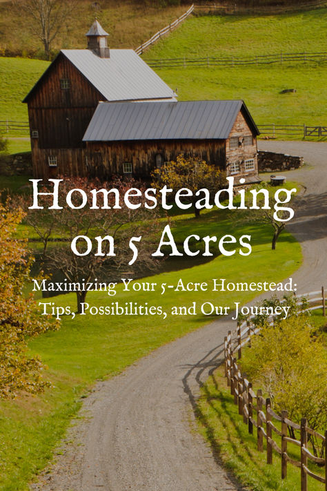 Homesteading on 5 Acres: How to Maximize Your Land Self Sufficient Farm, Buying Land For Homestead, Homestead Garden Layout Small Farm, Homestead Layout 5 Acres, Compound Property, Small Homestead Layout, 5 Acre Homestead Layout, 5 Acre Homestead, Farming Images