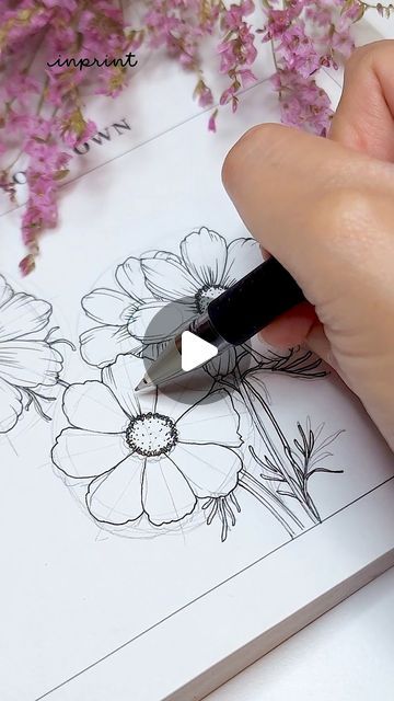 Moon Flower Drawing, Cosmos Drawing, Cosmos Flowers Drawing, Cosmos Flowers, Drawing Practice, Step By Step Drawing, Botanical Art, Flower Drawing, Cosmos