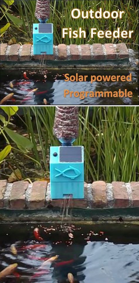 Everyone with pet fish, either in a pond or an aquarium, has had the issue of not being able to feed them when on holiday. To solve this, I decided to make an automatic fish feeder. Since my fish are in a pond outside, I wanted to make this project solar powered. Turtle Aquarium, Aquaponics Greenhouse, Automatic Fish Feeder, Dragon Garden, Fish Feeder, Turtle Pond, Earthship Home, Aquaponics System, Aquarium Design